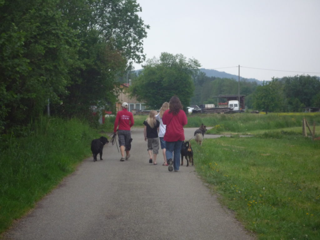 Aktiv Spaziergang Hund und Natur Murrtaler Hundetreff